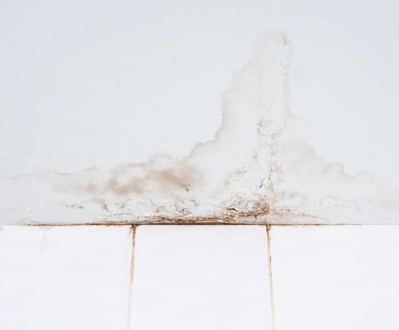 Bathroom Floor Replacement in Summerville, SC