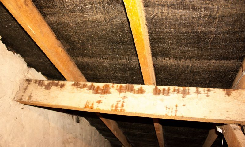 Bathroom Water Damage Repair in Katy, TX